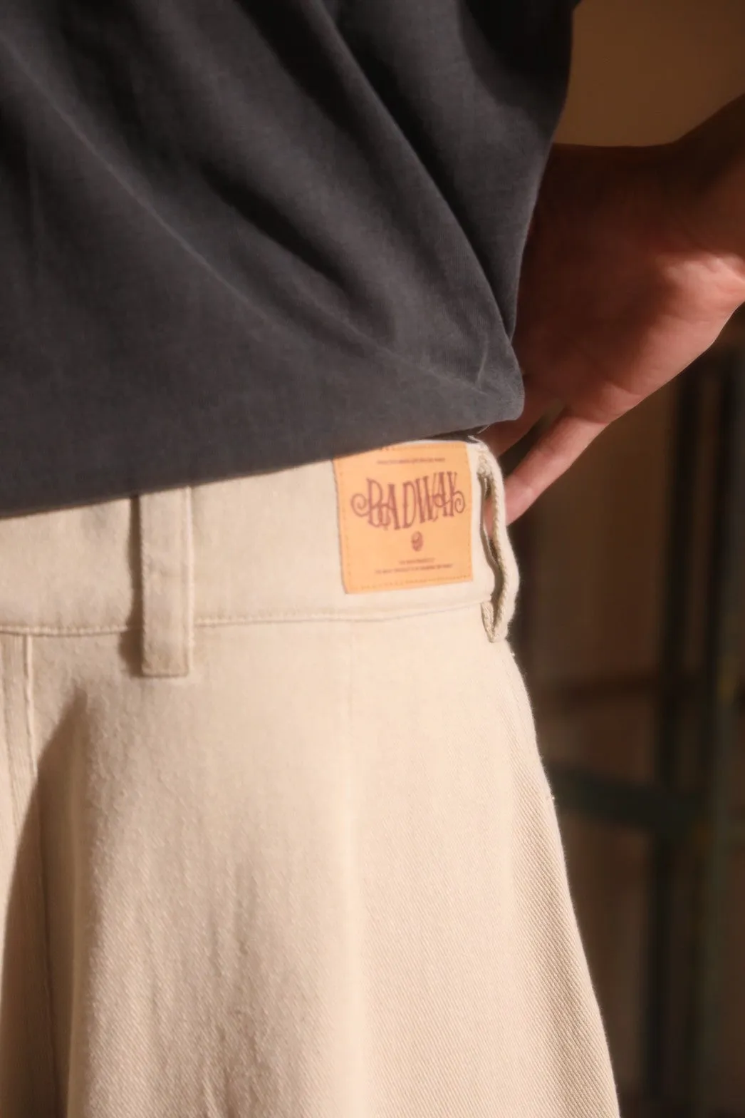 Blast cargo painter pants