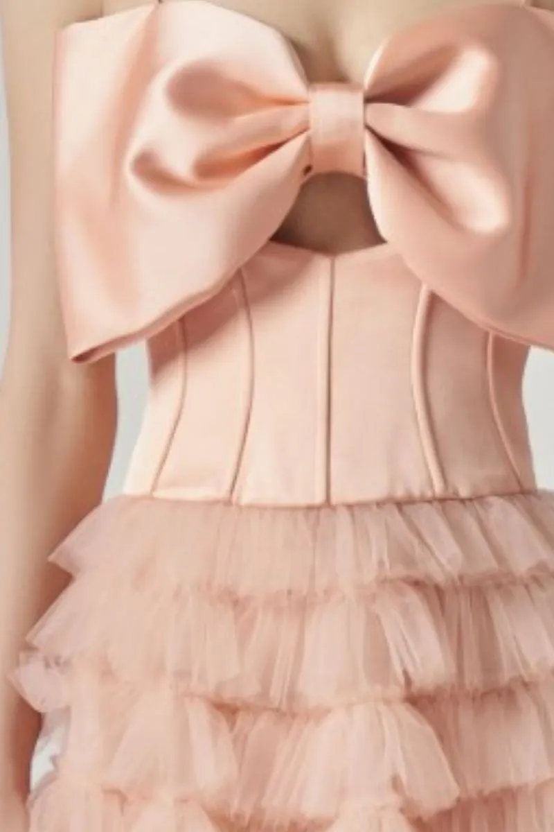 CLARA TAFFETA AND TULLE DRESS