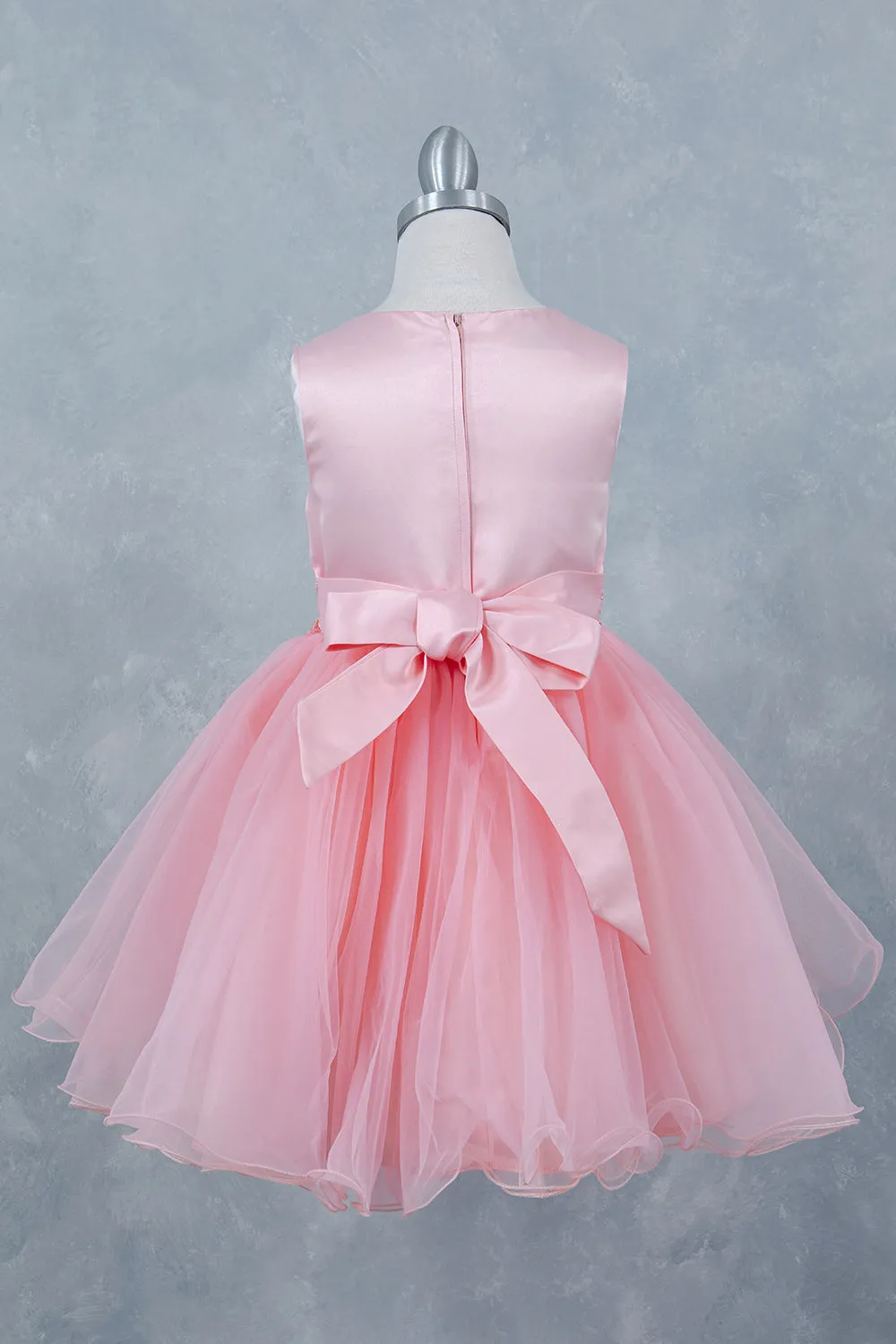 Girls Butterfly Applique Layered Tulle Dress 2-12