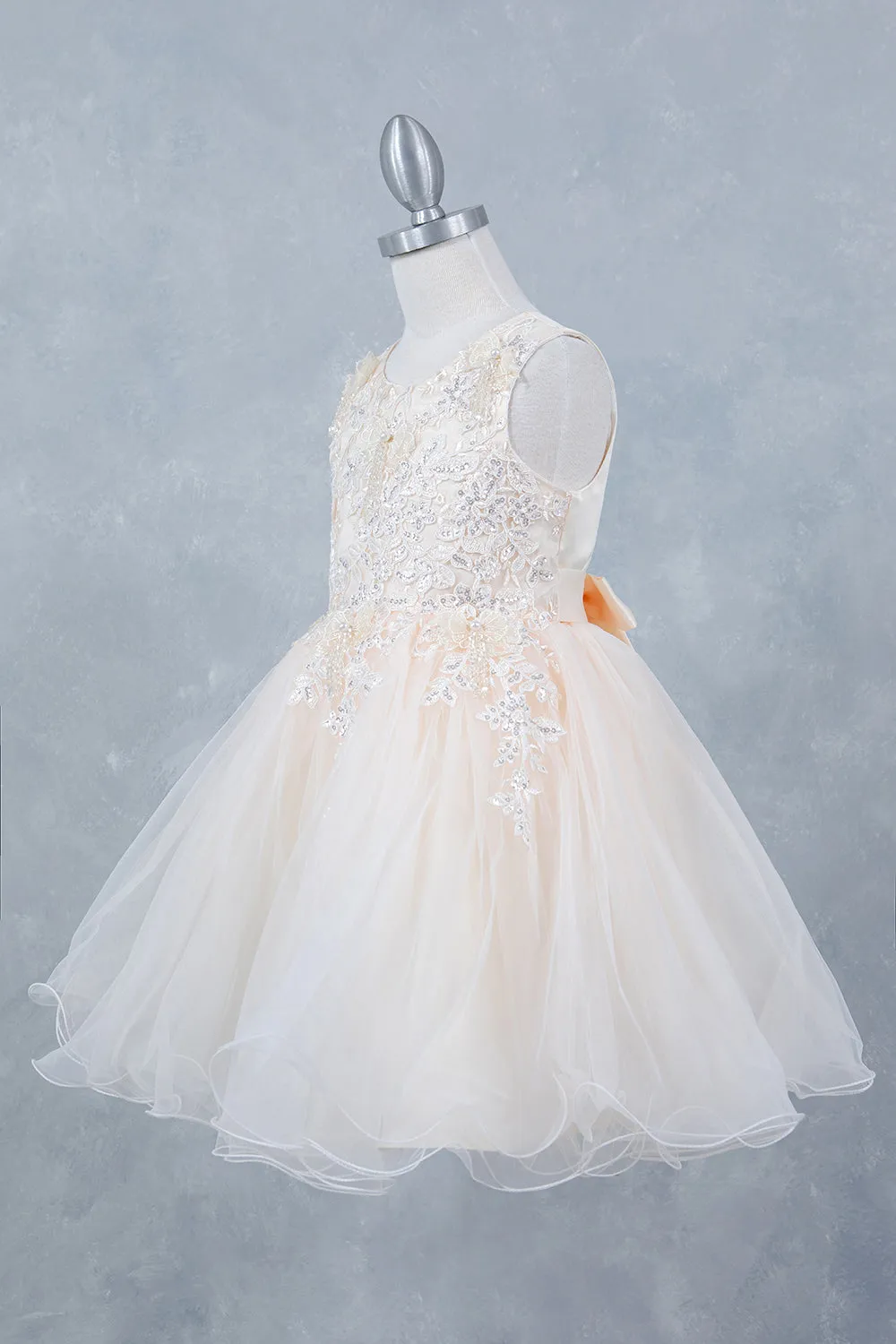 Girls Butterfly Applique Layered Tulle Dress 2-12