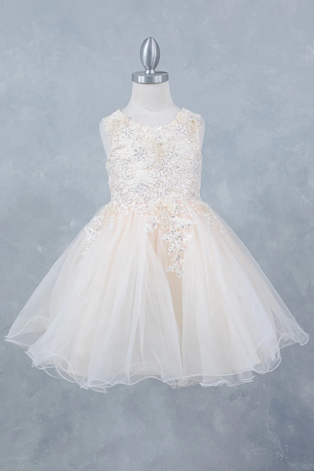 Girls Butterfly Applique Layered Tulle Dress 2-12