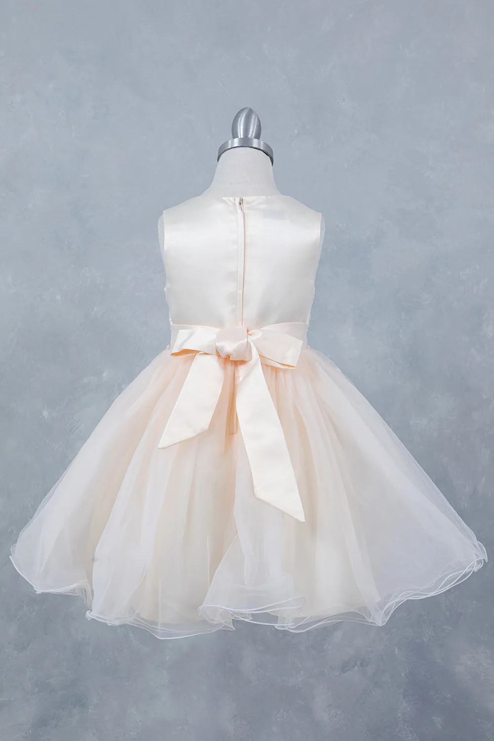 Girls Butterfly Applique Layered Tulle Dress 2-12