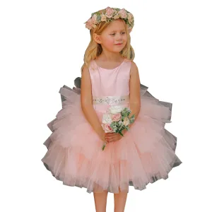 Little Girls Blush Satin Layered Tulle Removable Sash Flower Girl Dress 2